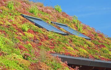 Earl Shilton living roof systems